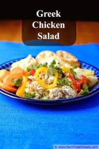 Easy and Healthy summer lunches for moms