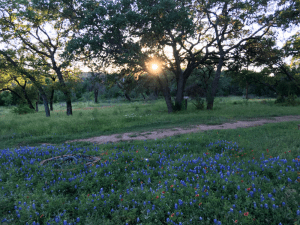 texas hillcountry sunset