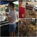 wolf ranch farmers market 02