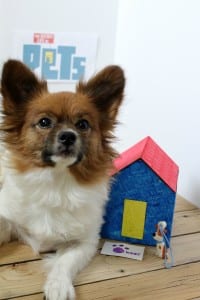 The Secret Life of Pets 02