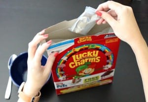 The Secret Life of Pets 04