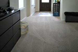 House Cleaning Tips House Cleaning Tips