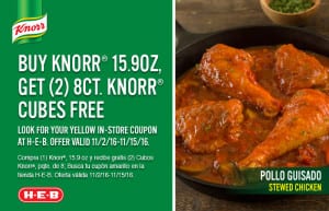 4457-2_heb_knorrcubesnov_influencer_asset1_700x450