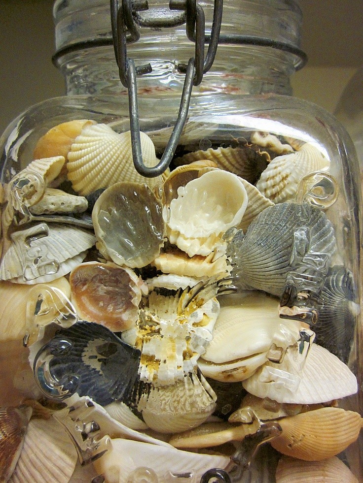 seashells in a jar