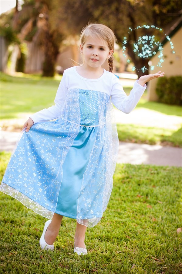 Chasing Fireflies Disney Elsa Deluxe Ultimate Costume Dress Frozen RETIRED  NEW | eBay