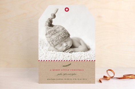 Minted 2014 Holiday Cards, Christmas Cards, Holiday Photo Cards, Minted