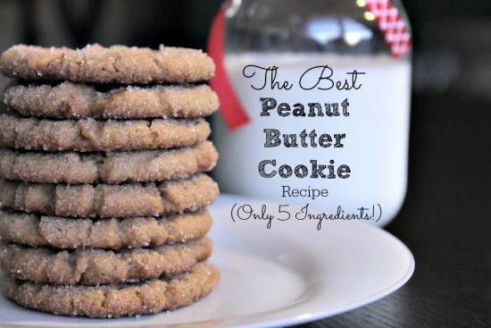 Best Peanut Butter Cookie Recipe 05