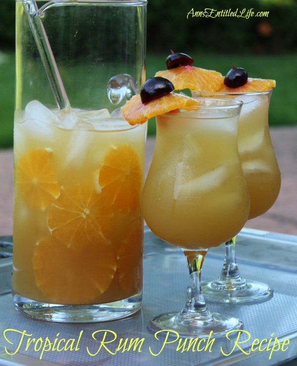 Tropical Rum Punch Recipe