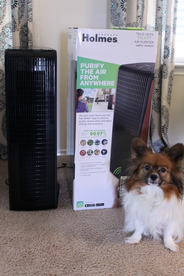 Holmes smart air purifier review-01