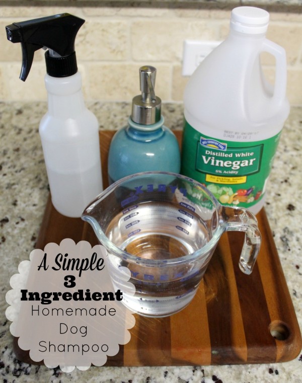 A Simple 3 Ingredient Homemade Dog Shampoo