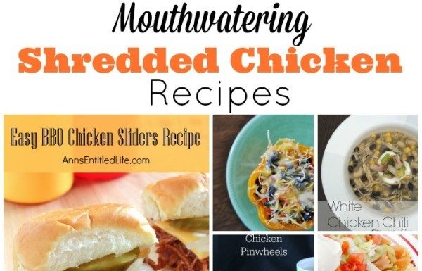 shredded chicken recipes