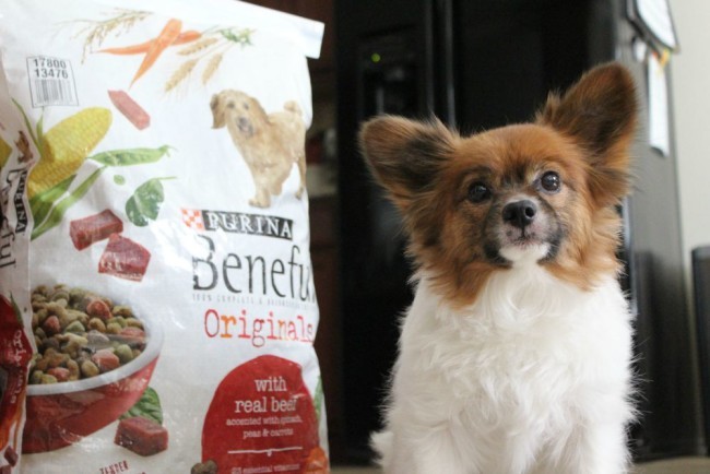 purina beneful