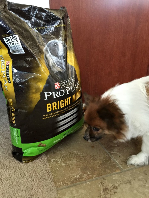 purina bright minds pro plan dog food