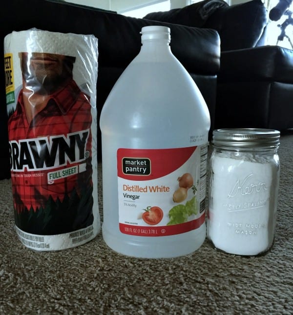 DIY Pet Stain Remover