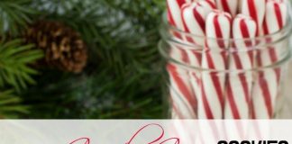 I've rounded up 25 recipes for Candy Cane Cookies. Some are shaped like a candy cane, some are flavored with peppermint and some have delicious candy cane toppings. They all share a common bond - peppermint.