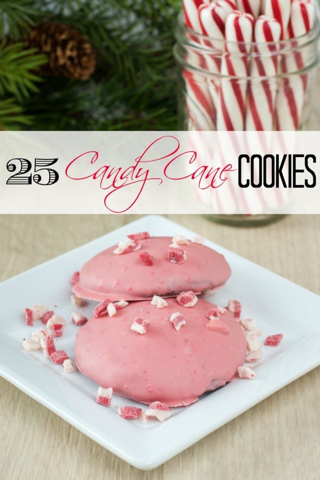 I've rounded up 25 recipes for Candy Cane Cookies. Some are shaped like a candy cane, some are flavored with peppermint and some have delicious candy cane toppings. They all share a common bond - peppermint.