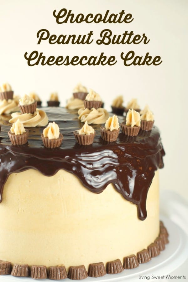 chocolate-peanut-butter-cheesecake-cake