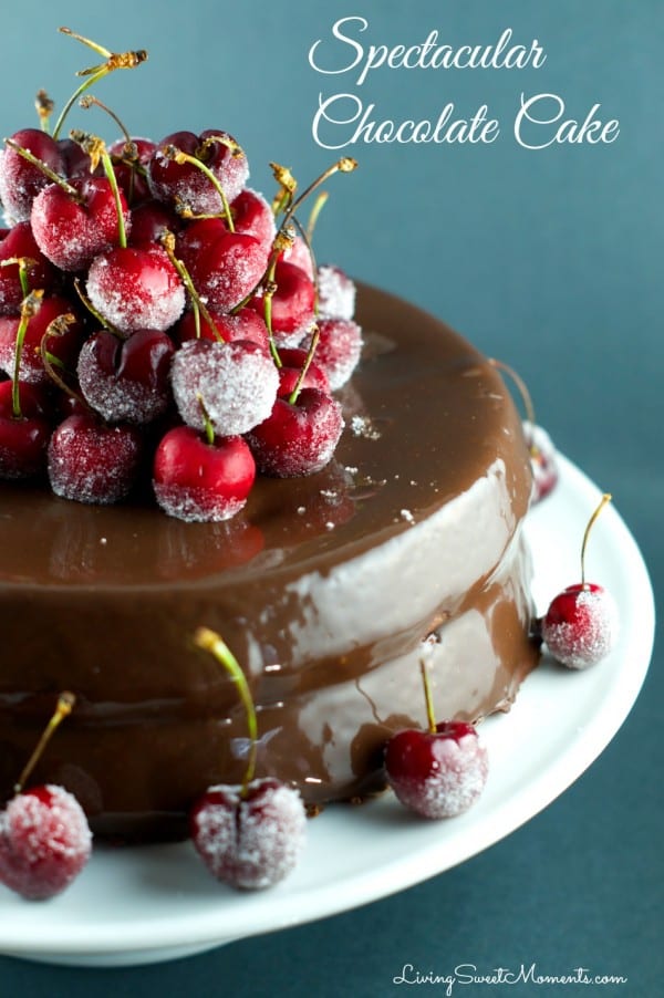 spectacular-chocolate-cake-recipe-cover