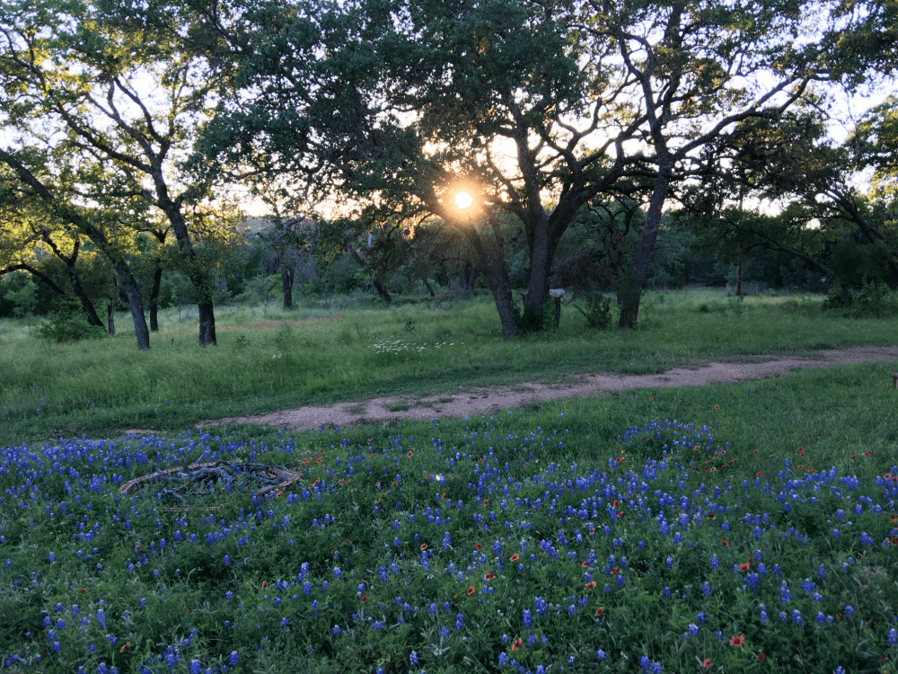 northwest texas scenery