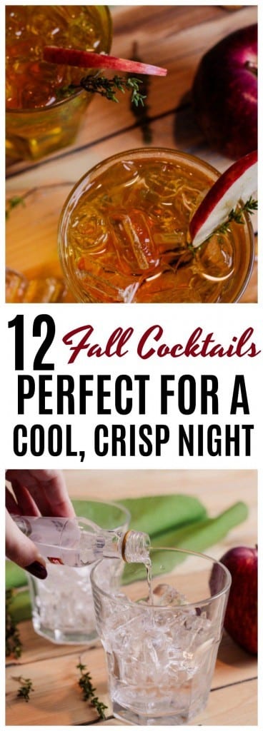 Grab your sweater, maybe a blanket and get ready to sip on one of these ten fall cocktails. These are perfect to slowly sip on a cool, crisp fall evening.