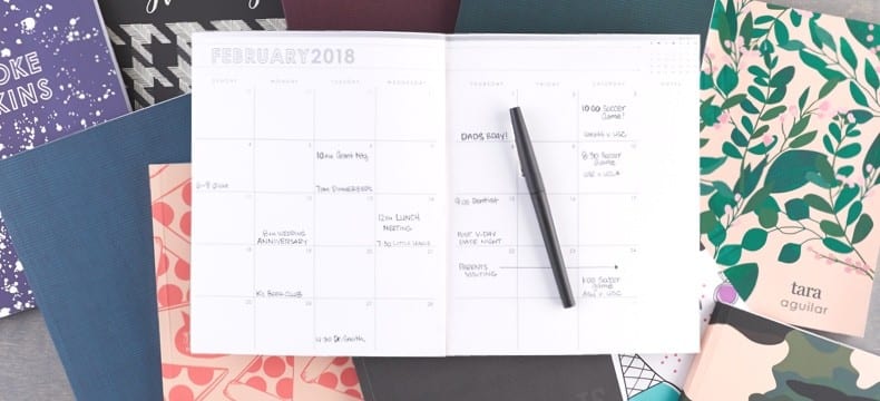 vista 2018 monthly planner