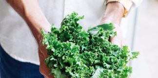 Kale Chips Recipe (Plus How You Can Get Your Family To Eat More Of This Superfood)