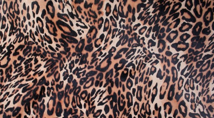 leopard print fashion