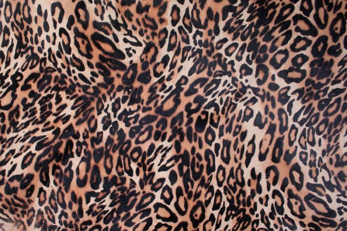 leopard print fashion